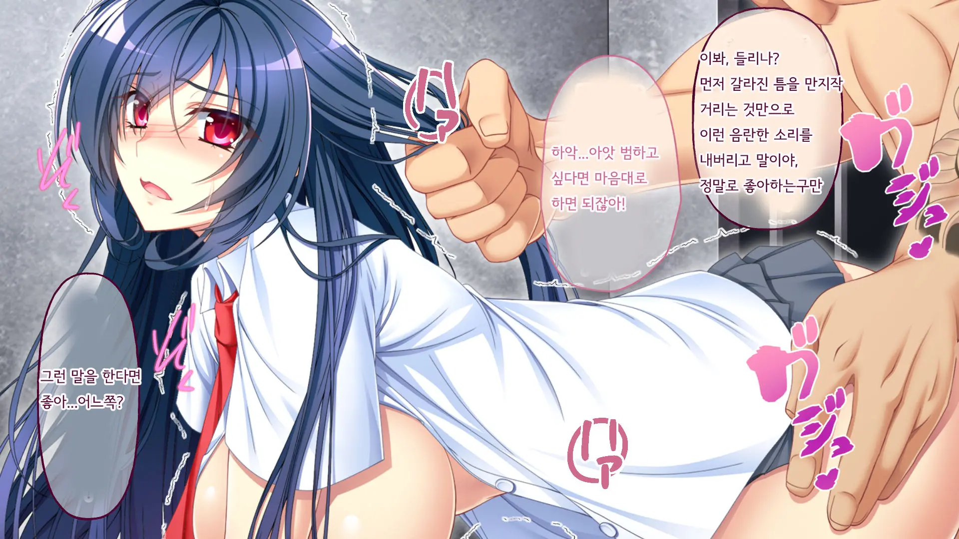 Nigeba Nashi! Misshitsu Chikan Densha ~ Otori Sosakan No Hamerare Jigoku | 도망칠수 없어! 밀실치한전차 ~함정수사관의 삽입지옥~